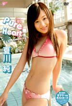 Japanese Swimsuit Idol Softcore Beauty Gal