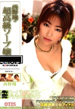 Shou Nishino as Super High-Class Soap Lady