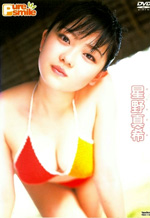 Swimsuit Beauty Idol Japanese Softcore